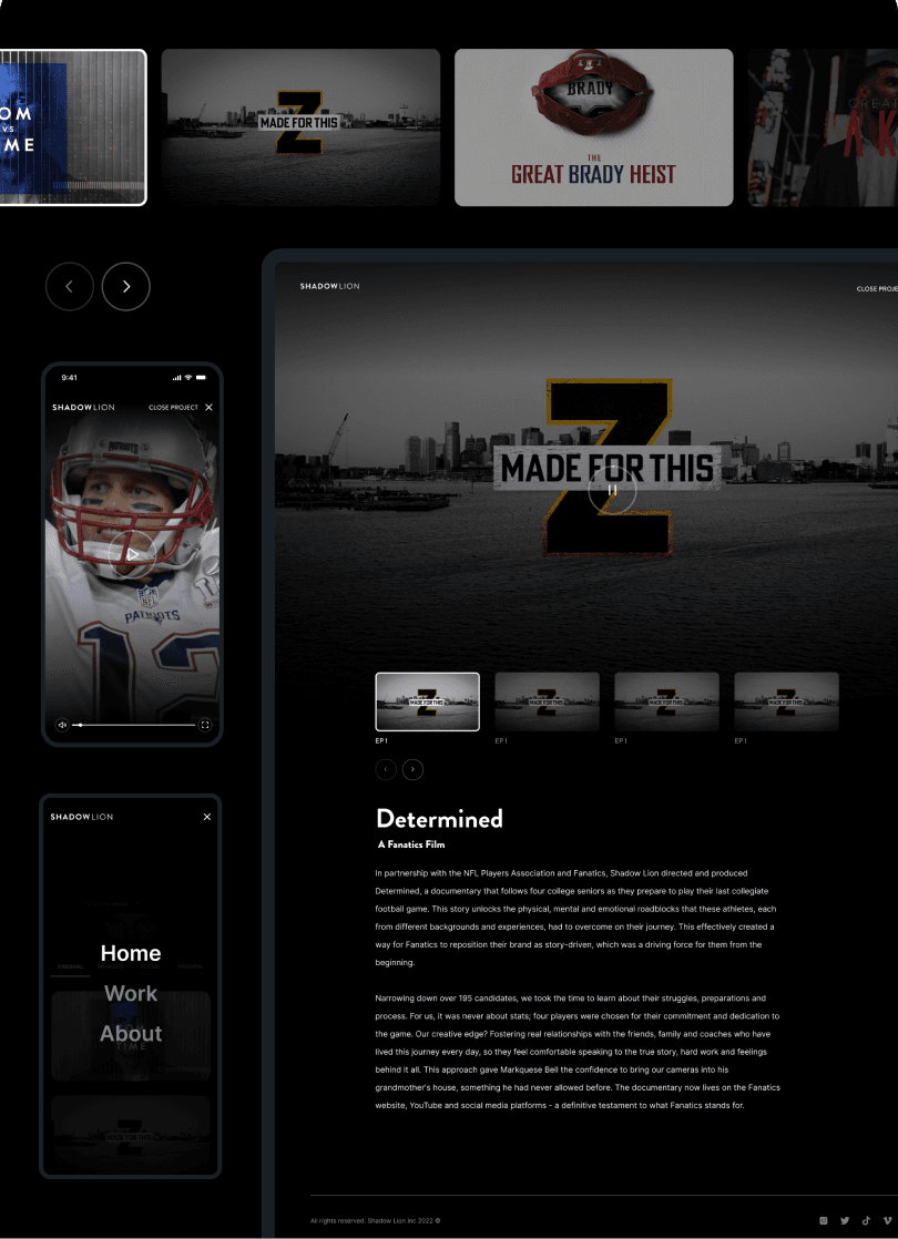 Project gallery