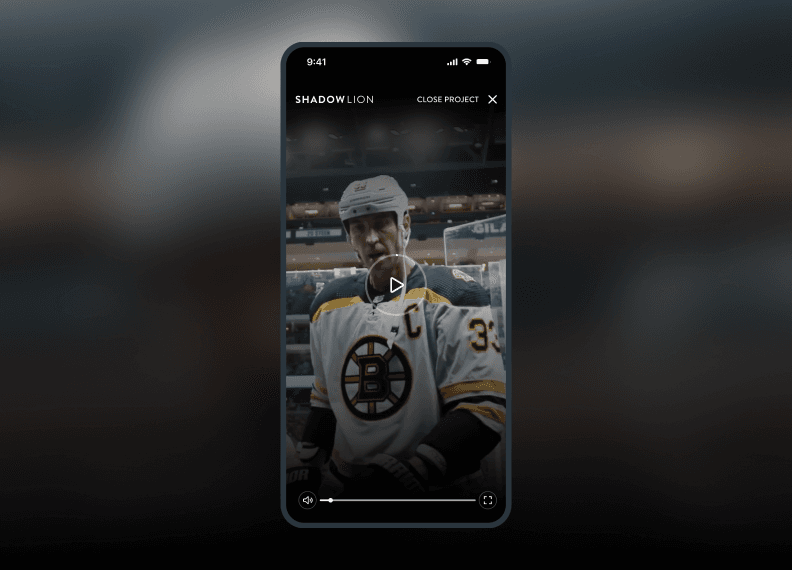 Shadow Lion custom video player with timeline controls